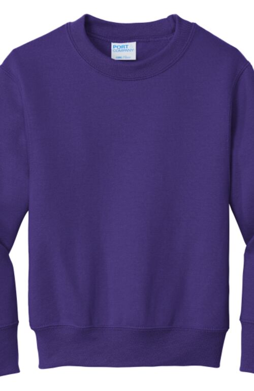 Youth Core Fleece Crewneck Sweatshirt Thumbnail